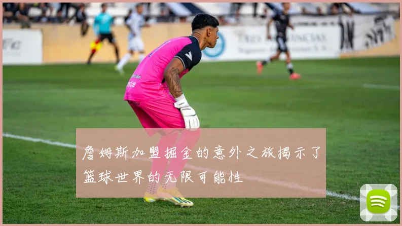 詹姆斯加盟掘金的意外之旅揭示了篮球世界的无限可能性