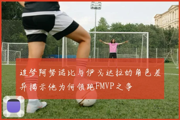 追梦阿努诺比与伊戈达拉的角色差异揭示他为何领跑FMVP之争