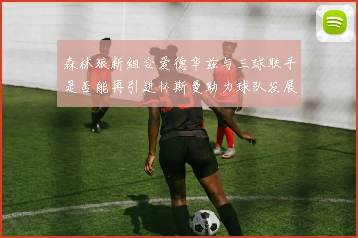 森林狼新组合爱德华兹与三球联手是否能再引进怀斯曼助力球队发展