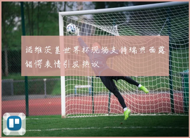 诺维茨基世界杯现场支持瑞典面露错愕表情引发热议